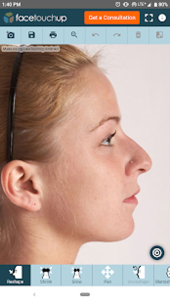 Image 2 for FaceTouchUp Nose Job Simu…