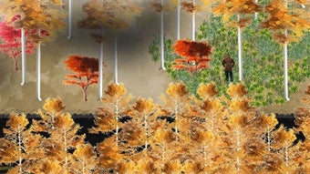 Image 1 for A Valley Without Wind dem…