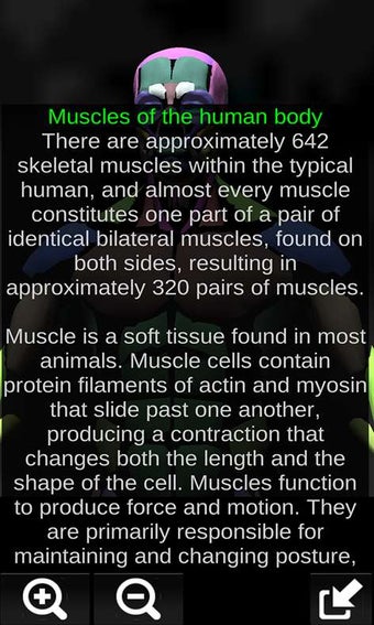 Imagen 1 para Muscular System 3D (Anato…