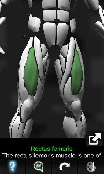 Imagen 0 para Muscular System 3D (Anato…