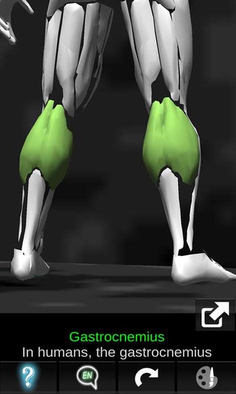 Imagen 3 para Muscular System 3D (Anato…