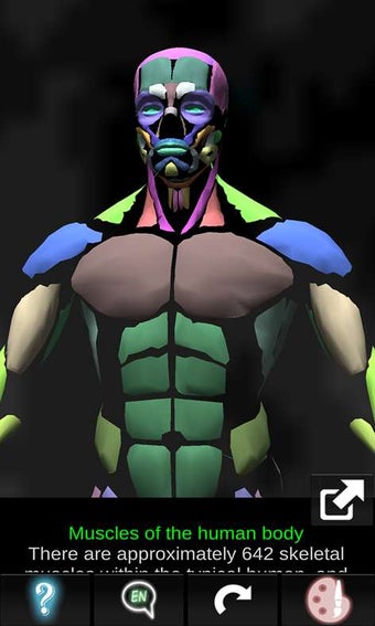 Imagen 2 para Muscular System 3D (Anato…
