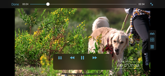 Image 2 for HD Player