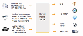 Imagen 0 para Unreal Media Server