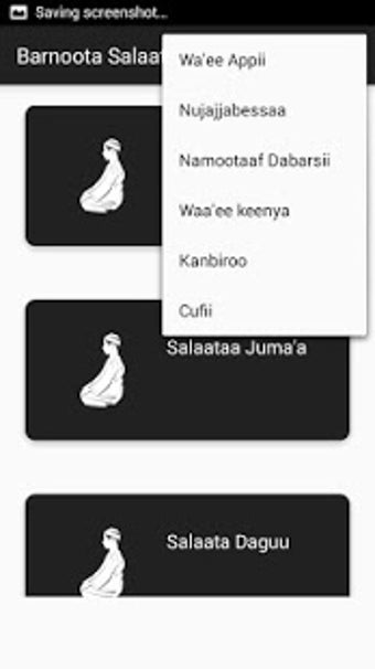 Imagen 2 para Salaata Ibaadaa Rabbii(Af…