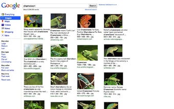 Image 0 for Oogle
