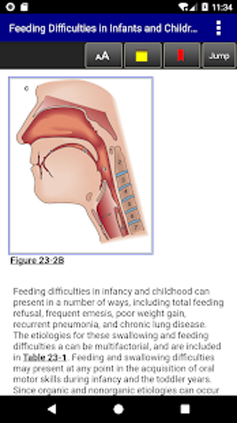 Imagen 3 para Rudolph's Pediatrics, 23r…