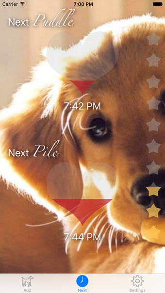 Imagen 0 para Puddle & Pile - Puppy Toi…