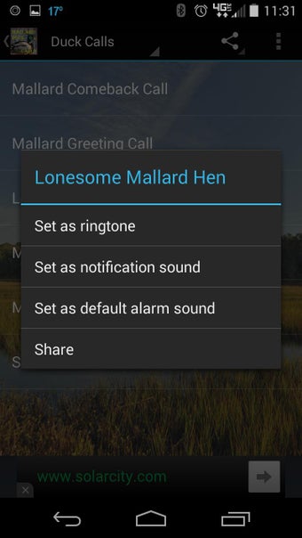 Image 2 for Mallard Duck Calls