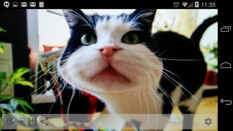Imagen 0 para Funny Mirror