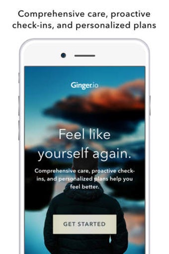 Image 0 for Ginger Emotional Support