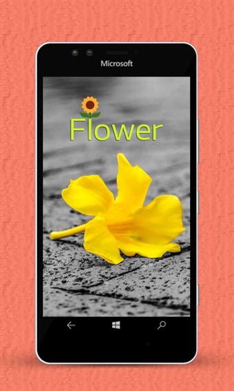 Imagen 3 para Color Splash for Windows …