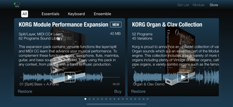 Image 2 for KORG Module