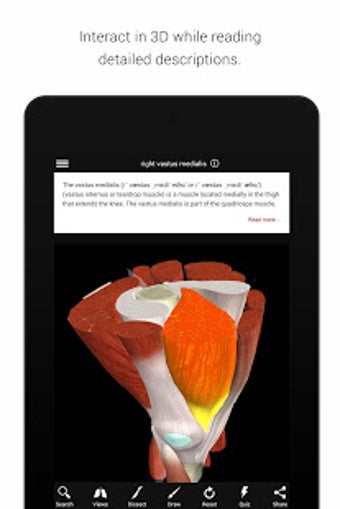Image 0 for BioDigital Human - 3D Ana…