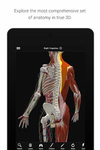 Image 3 for BioDigital Human - 3D Ana…