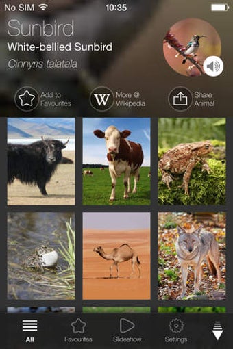 Image 0 for Animal Explorer: Sounds a…