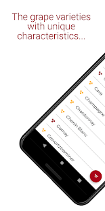 Image 3 for Grapes: Wine app