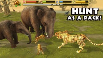 Imagen 0 para Cheetah Simulator