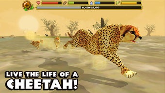 Imagen 1 para Cheetah Simulator