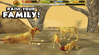 Image 1 for Cheetah Simulator