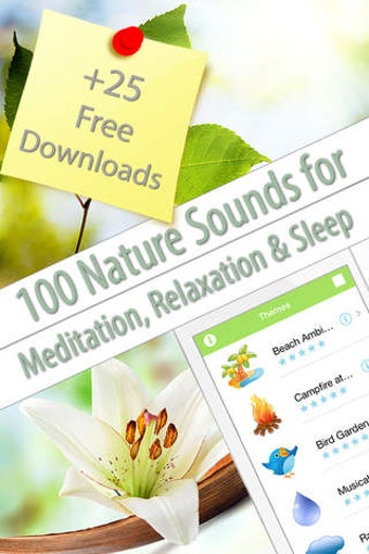 Image 0 for Relaxing Nature Scenes (h…