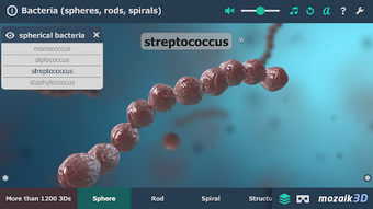 Image 2 for Bacteria interactive educ…