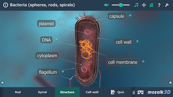 Image 0 for Bacteria interactive educ…