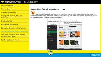 Image 0 for WINDOWS 8.1 For Dummies