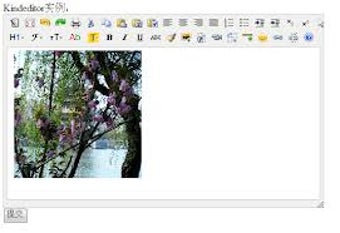 Imagen 0 para KindEditor