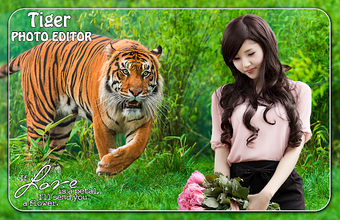 Image 0 for Tiger Photo Editor