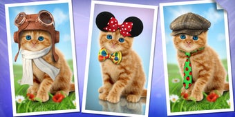 Image 3 for Purring cats, live wallpa…