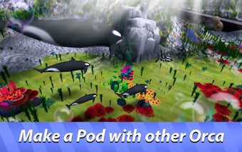 Image 1 for Orca Whales Simulator: Un…
