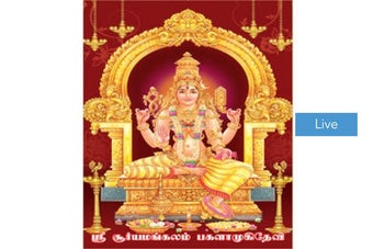 Image 0 for Sree Bagalamukhi Devi
