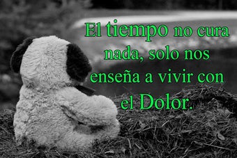 Image 0 for Imgenes de Amor Roto