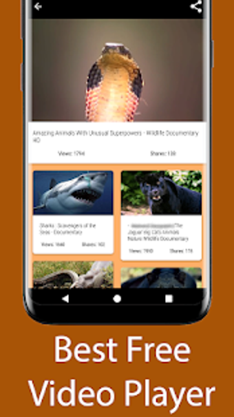 Image 1 for Wild Animals - Documentar…