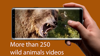 Image 0 for Wild Animals - Documentar…