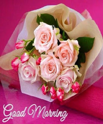Image 0 for Good Morning images Gif