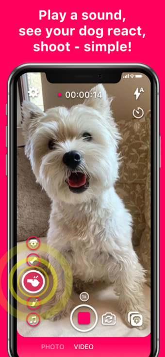 Image 3 for DogCam - Dog Selfie Camer…