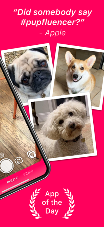 Image 1 for DogCam - Dog Selfie Camer…