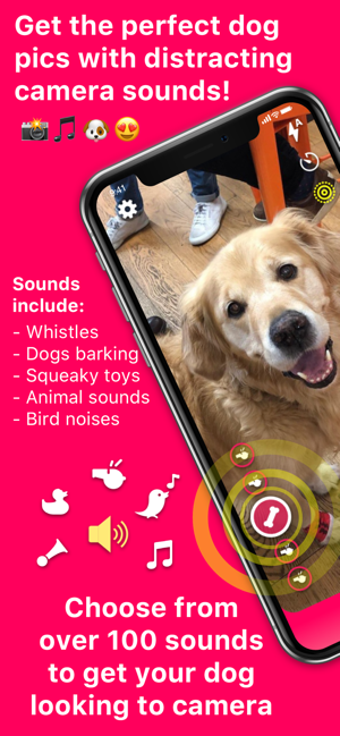 Image 0 for DogCam - Dog Selfie Camer…