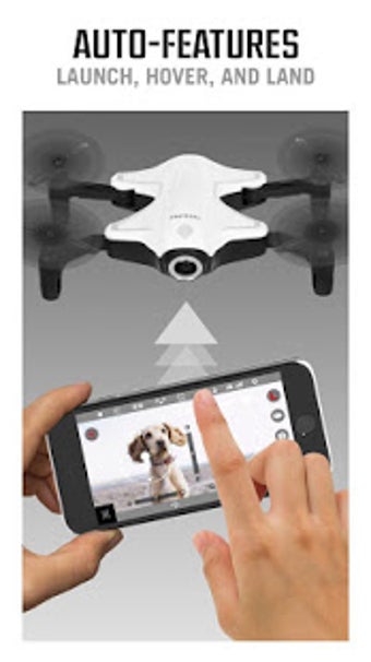 Imagen 3 para Protocol Director APP