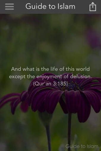 Image 0 for Guide to Islam