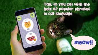 Image 1 for Cat Language Translator S…