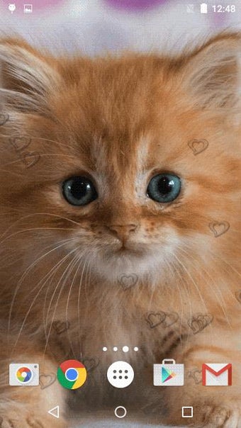 Imagen 0 para Cute Kittens Live Wallpap…