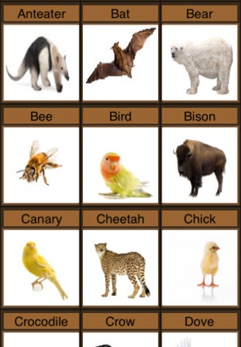 Image 0 for Zoo Sounds