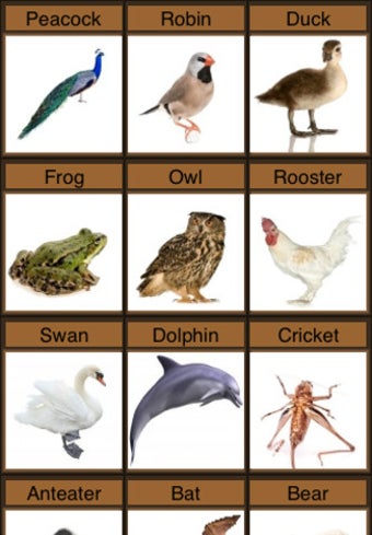 Image 3 for Zoo Sounds