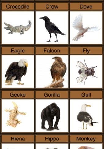 Image 2 for Zoo Sounds