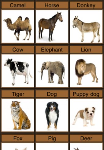 Image 1 for Zoo Sounds