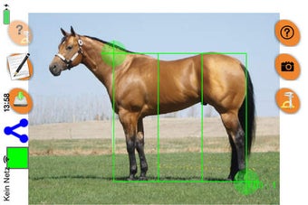 Image 0 for Horse Conformation