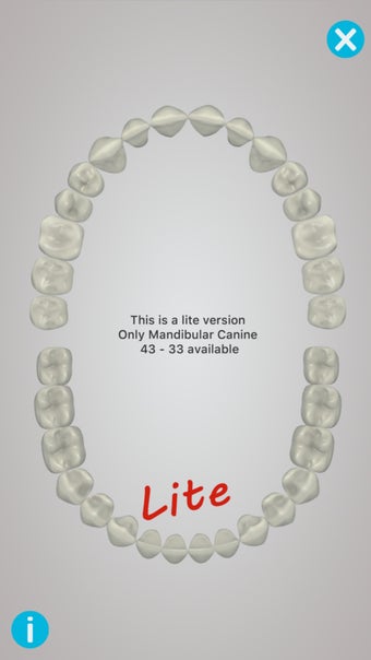 Image 1 for Dental Corpus Anatomy Lit…